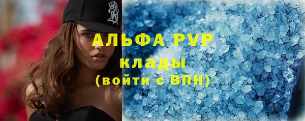 мдпв Козельск