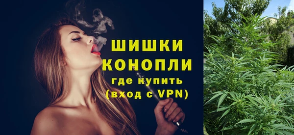 мдпв Козельск